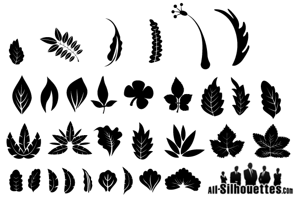 600x400 Free Free Graphics Vector Leaf Silhouette Psd Files, Vectors