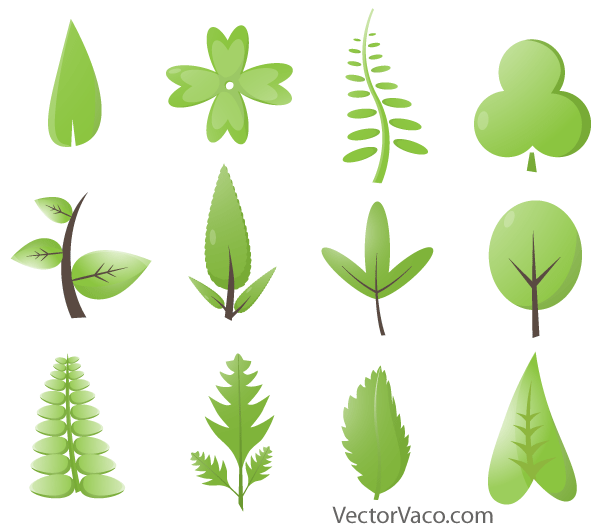600x530 Free Free Green Leaves Psd Files, Vectors Amp Graphics