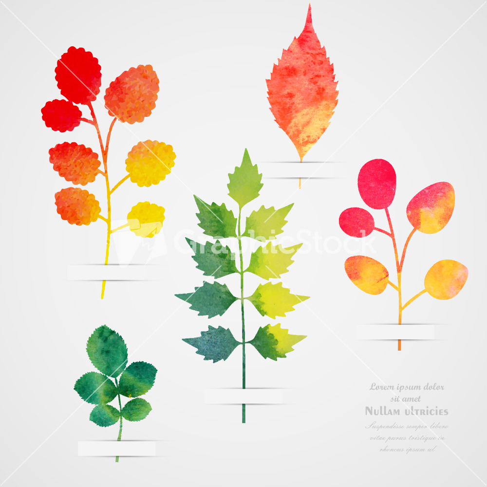 1000x1000 Leaf Vector Art Download (Watercolor)