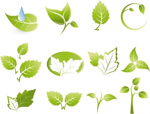 485x368 Leaf Free Vector Download (4,011 Free Vector) For Commercial Use
