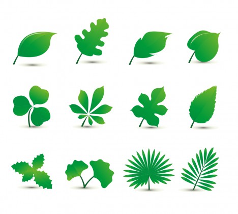 468x420 Leaf Vector Vectors Stock For Free Download About (1,418) Vectors