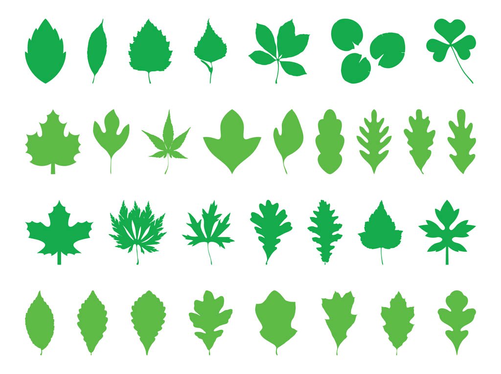 1024x765 Leaves Silhouettes Pack Vector Art Amp Graphics