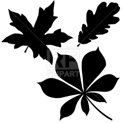 400x400 Oak, Chestnut And Maple Leaf Vector Image Vector Artwork Of