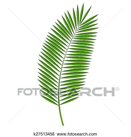 450x470 Palm Leaves Clip Art Clip Art Palm Leaf Vector Illustration Search