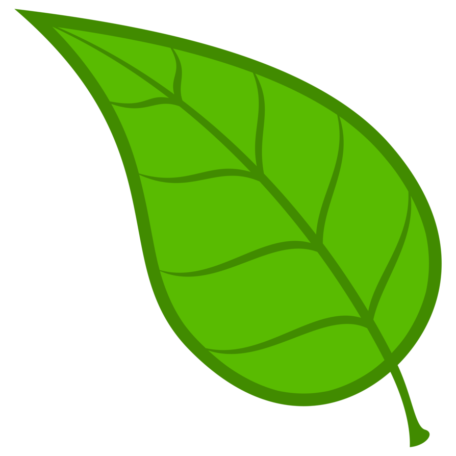 894x894 Collection Of Free Leaf Vector Cdr. Download On Ubisafe