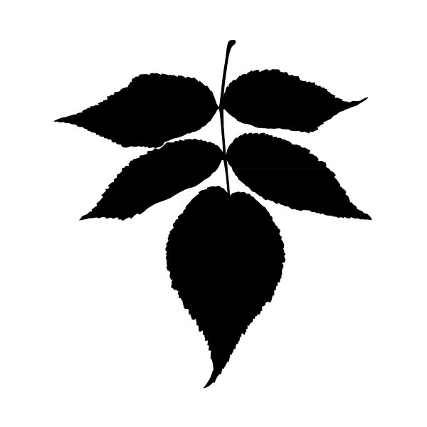 600x600 Free Stock Photos