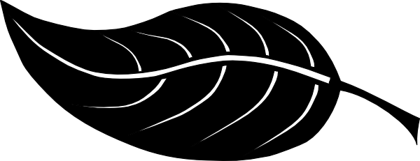 600x231 Leaf Clip Art Free Vector 4vector