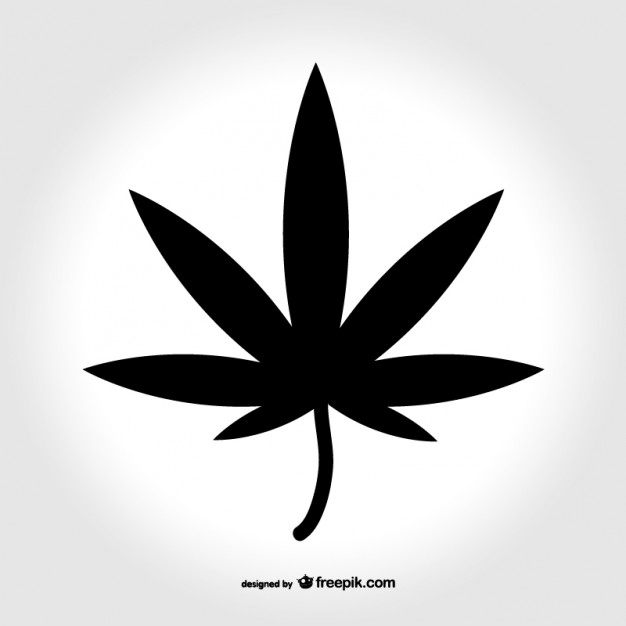 626x626 Marijuana Leaf Vectors, Photos And Psd Files Free Download