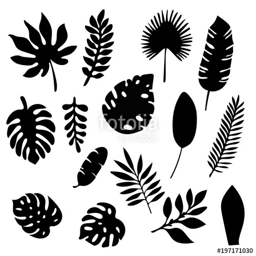 500x500 Palm Leaves Silhouettes Set Isolated On White Background. Tropical