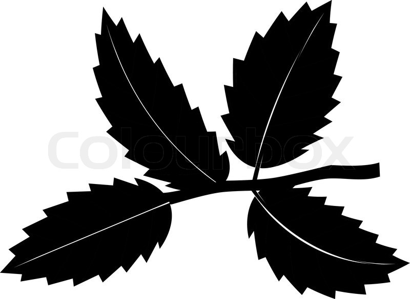 Leaf Vector Black at GetDrawings | Free download