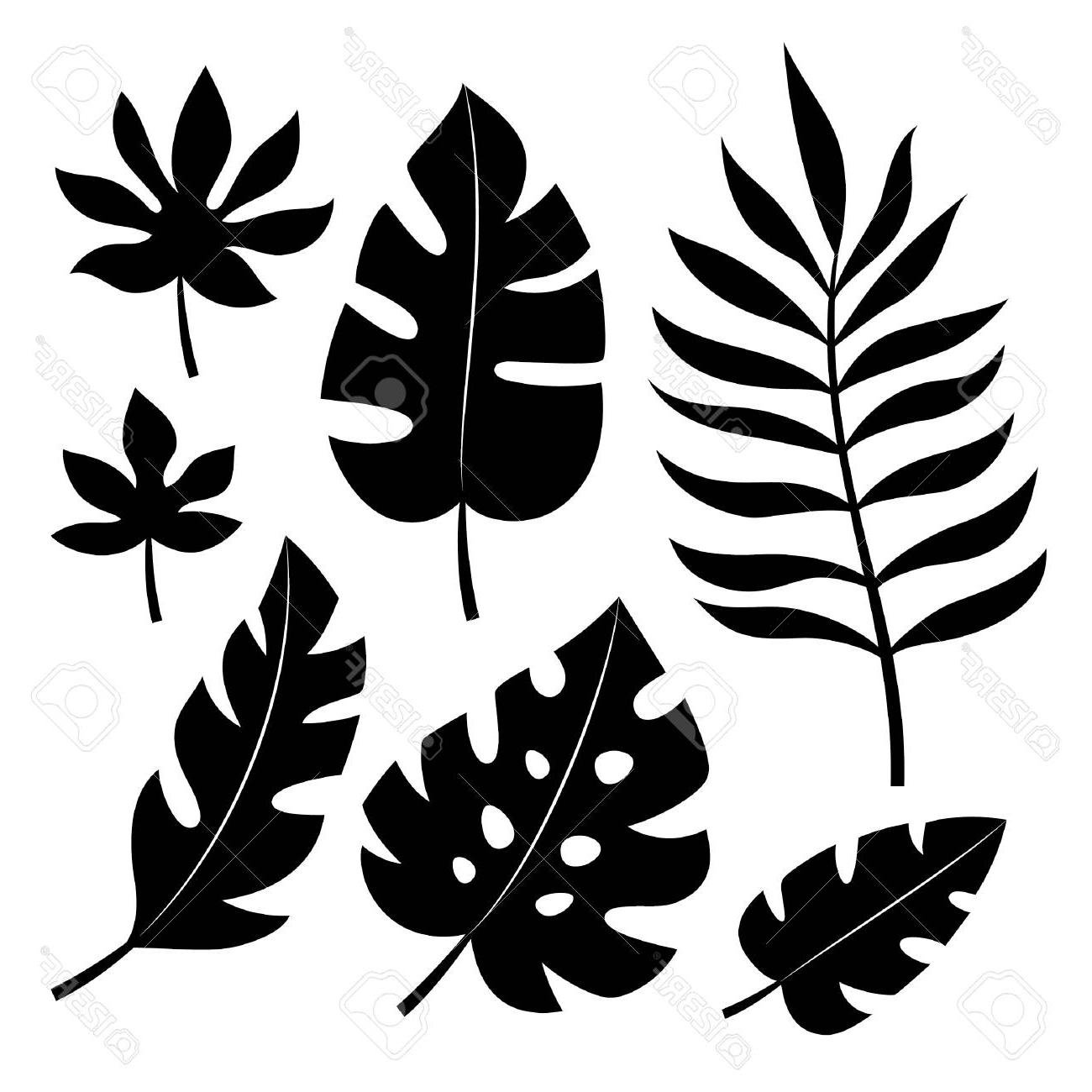 1300x1300 Top Set Of Tropical Leaves Vector Illustration Drawing
