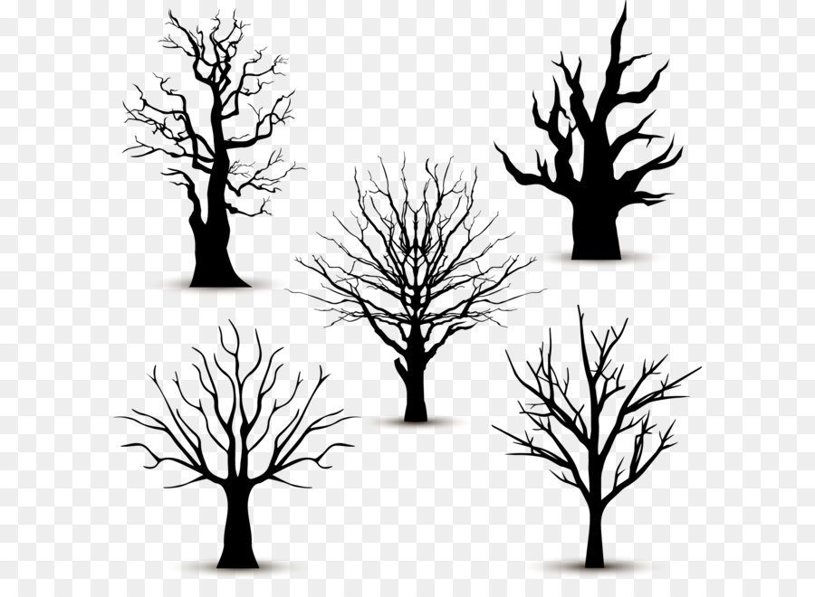 900x660 Tree Silhouette Euclidean Vector