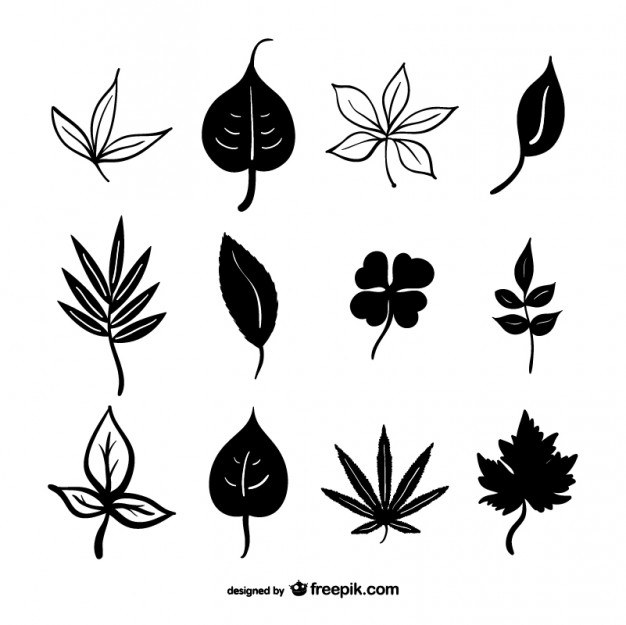 626x625 Black Leaves Silhouettes Vector Free Download