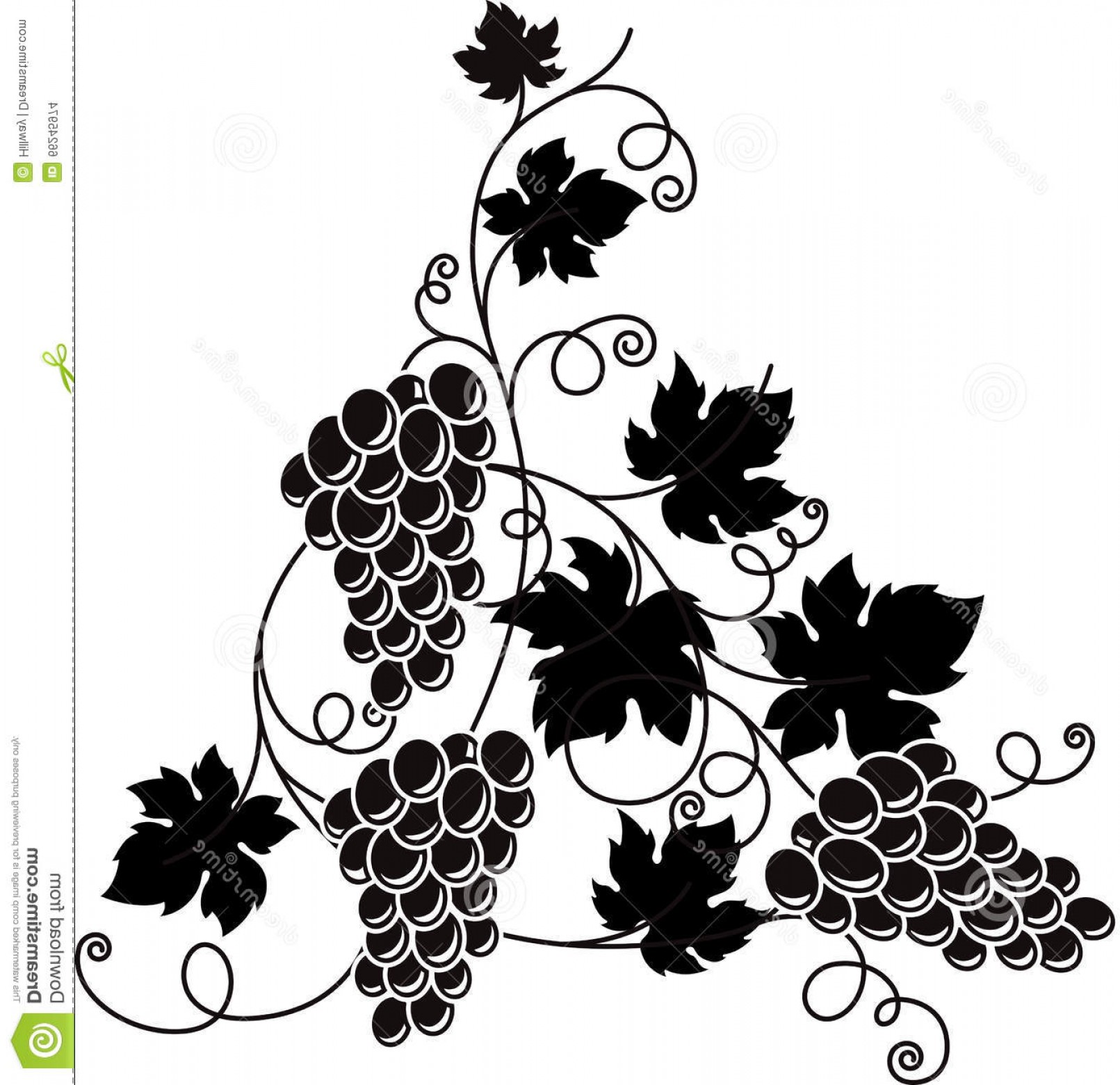 1611x1560 Grape Leaf Vector Arenawp