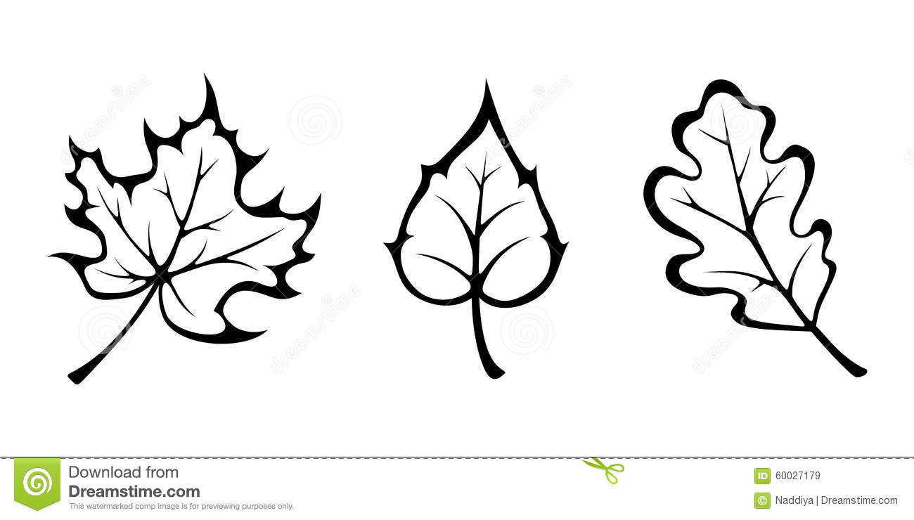 1300x740 Leaf Images Black And White Group With Items