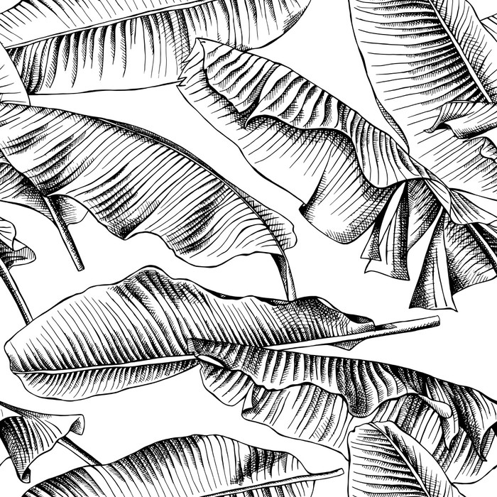 700x700 Seamless Pattern With Image Of A Banana Leaves. Vector Black And