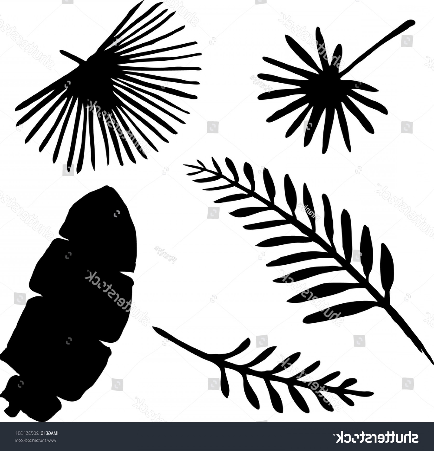 1800x1873 Silhouette Palm Branch Tropical Leaf Vector Sohadacouri