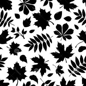 300x300 Stock Illustration Set Leaves Vector Black Silhouettes White