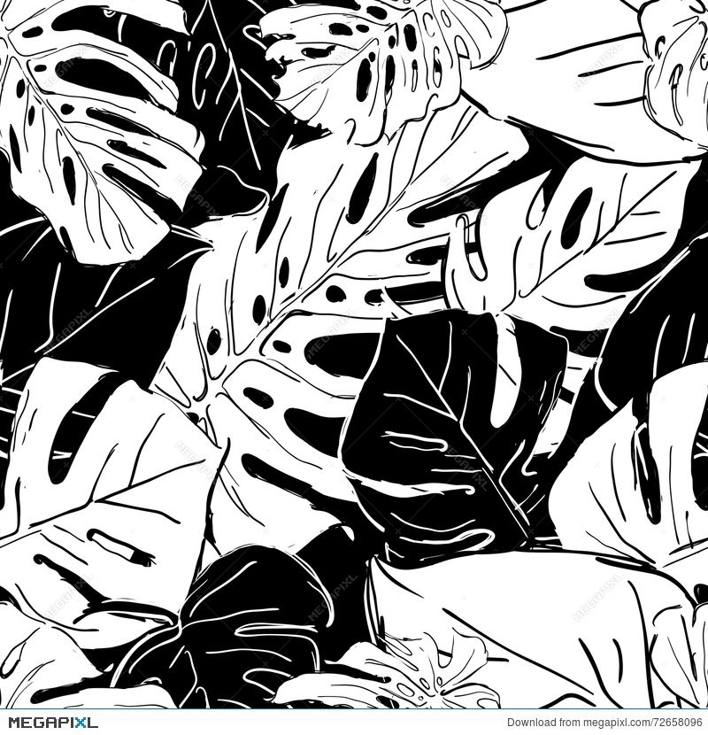 800x830 Tropical Black And White Palm Tree Leaves. Vector Summer Seamless