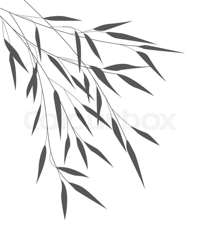 678x800 Vector Illustration Bamboo Leaves. Background With Black Leaves