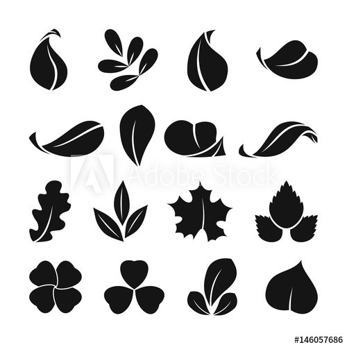 500x500 Black Monochrome Symbols Of Spring Leaf. Vector Shapes. Summer