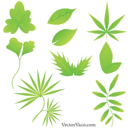 456x448 Free Green Leaf Vector Free Download Clipart And Vector Graphics
