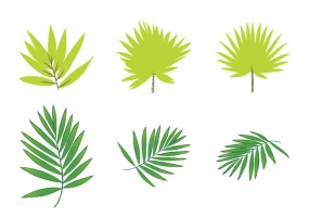 285x200 Jungle Leaf Free Vector Graphic Art Free Download (Found 7,881