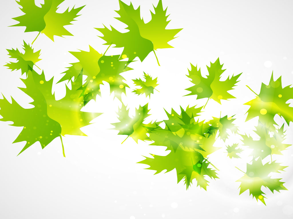 1024x765 Maple Leaf Vectors