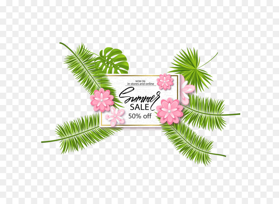 900x660 Coconut Leaf Euclidean Vector