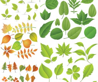 336x280 Spring Green Leaves Vector Vector Graphics Blog