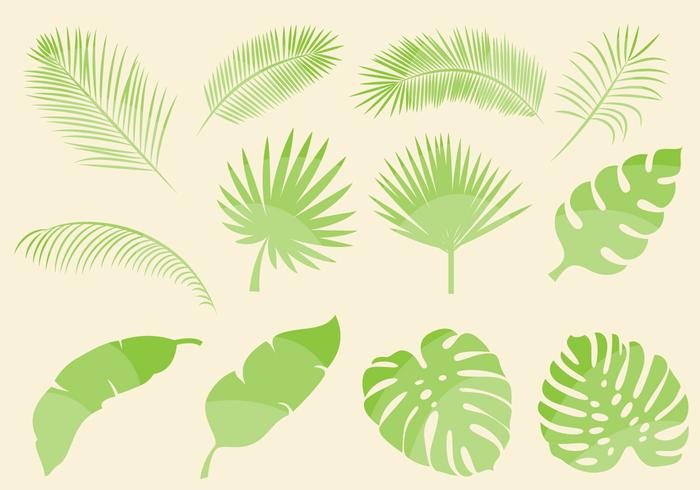 700x490 Tropical Leaf Vectors