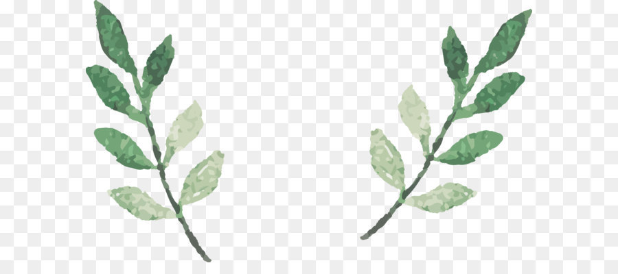 900x400 Watercolor Leaves Vector Png Download