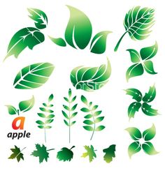 236x248 Free Graphic Design Green Leaf Design Elements Free Vector