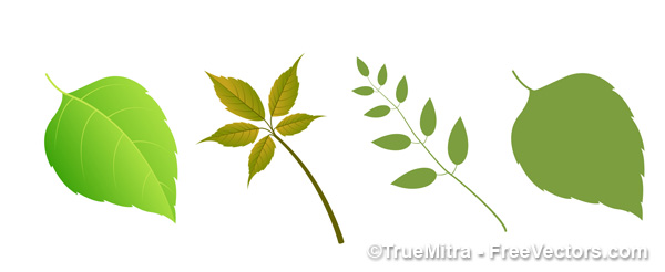 600x246 Download Free Leaves Elements Vector Illustration