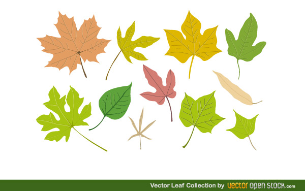 600x380 Free Vector Leaf Collection Download Free Vector Art Free Vectors