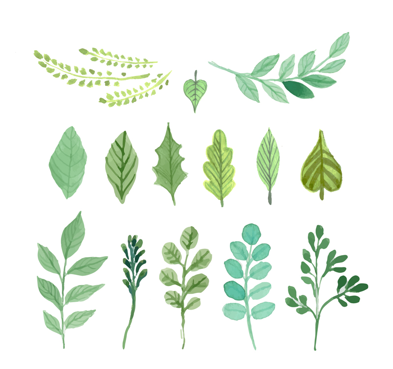 800x752 14 Green Watercolor Leaves Vector Free Download Ai Files