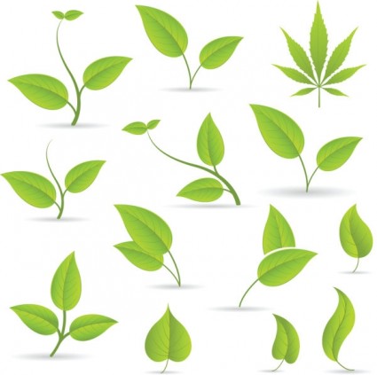 425x423 Leaf Vector Vector Misc Free Vector Free Download