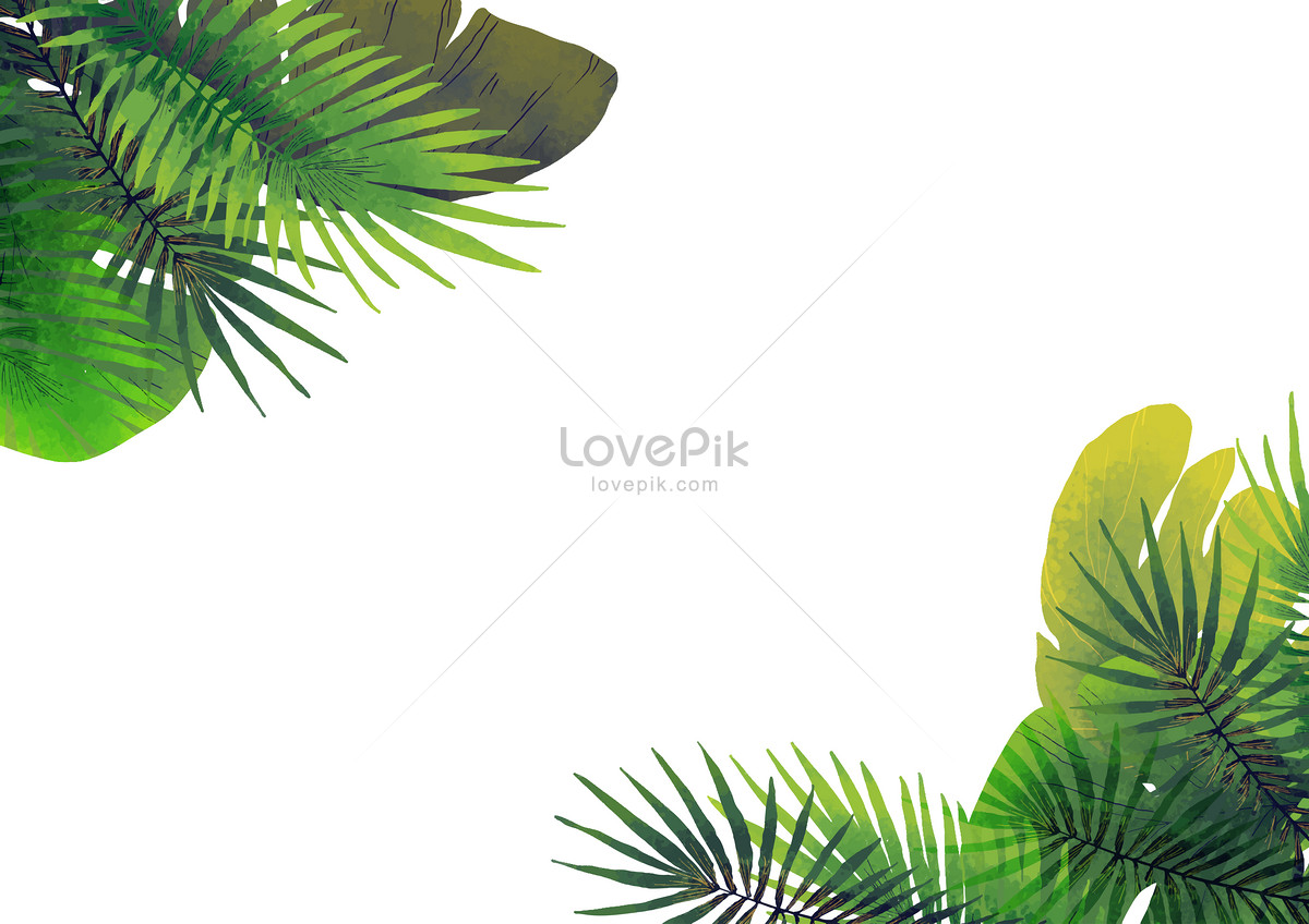 1200x848 Leaf Vector Background Illustration Image Picture Free Download