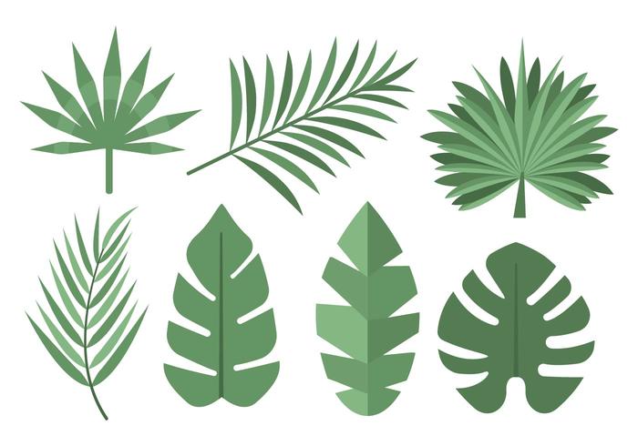 700x490 Leaves Free Vector Art