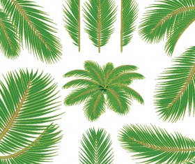 280x235 Palm Leaves Vector
