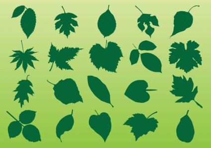 425x299 Plant Leaves Vectors Vector Free Vector Download In .ai, .eps