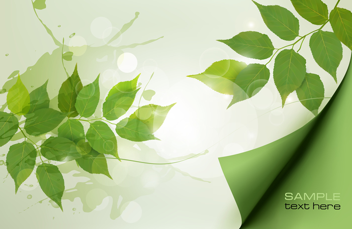 700x456 Spring Leaf Free Vector Graphic Download