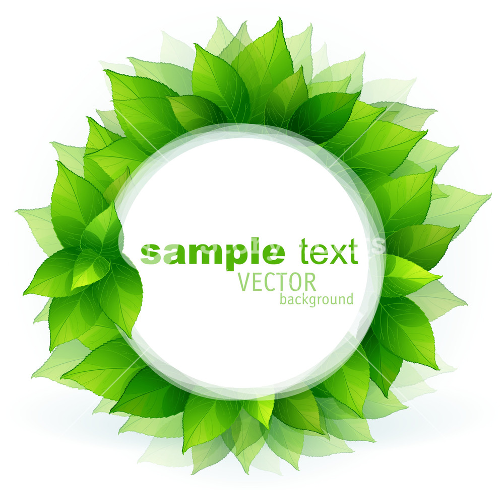 1000x974 Fresh Green Leaves Vector Border. Royalty Free Stock Image