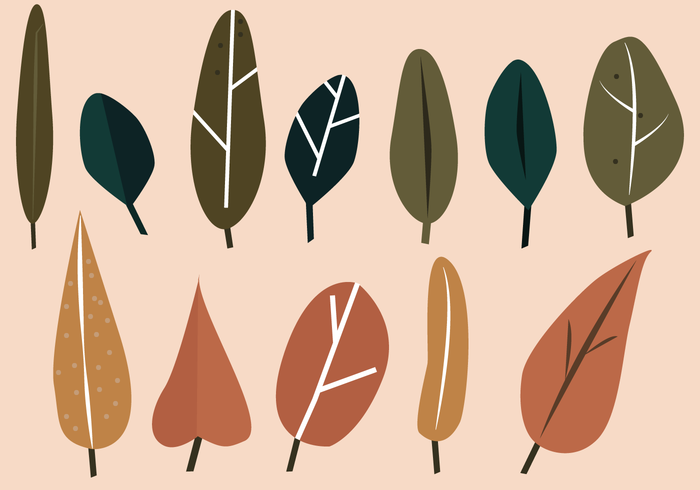 700x490 Leaf Vector
