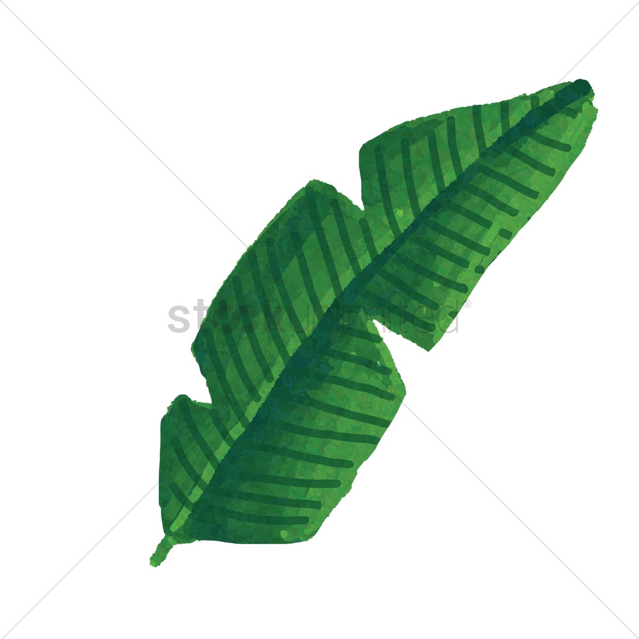1300x1300 Leaf Vector Image