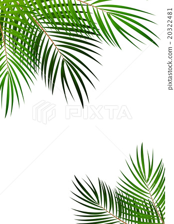 349x450 Palm Leaf Vector Background Illustration