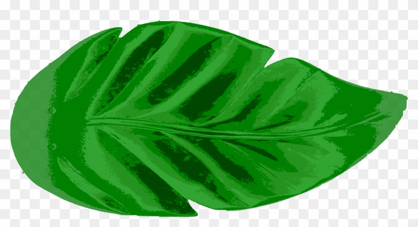 840x456 Tropical Leaves Vector Clip Art Eps Images