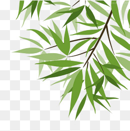 260x261 Bamboo Leaf Vector Png, Vectors, Psd, And Clipart For Free