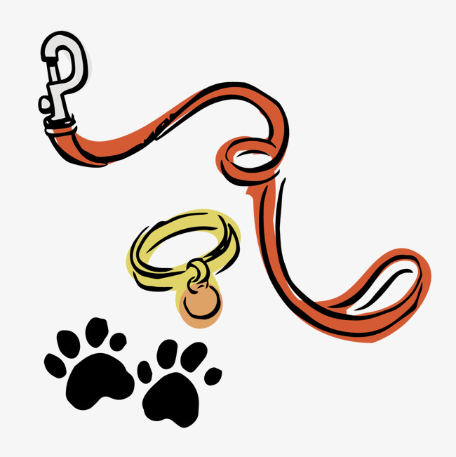 650x651 Leash And Collar Dog Footprints, Dog Vector, Collars, Leash Png