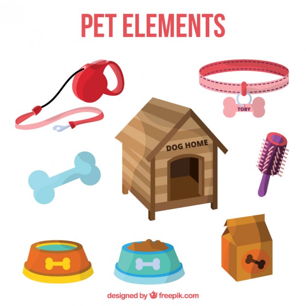 626x626 Leash Vectors, Photos And Psd Files Free Download